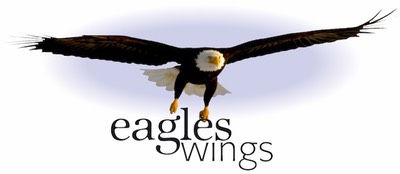 Eagles Wings Graphics 001